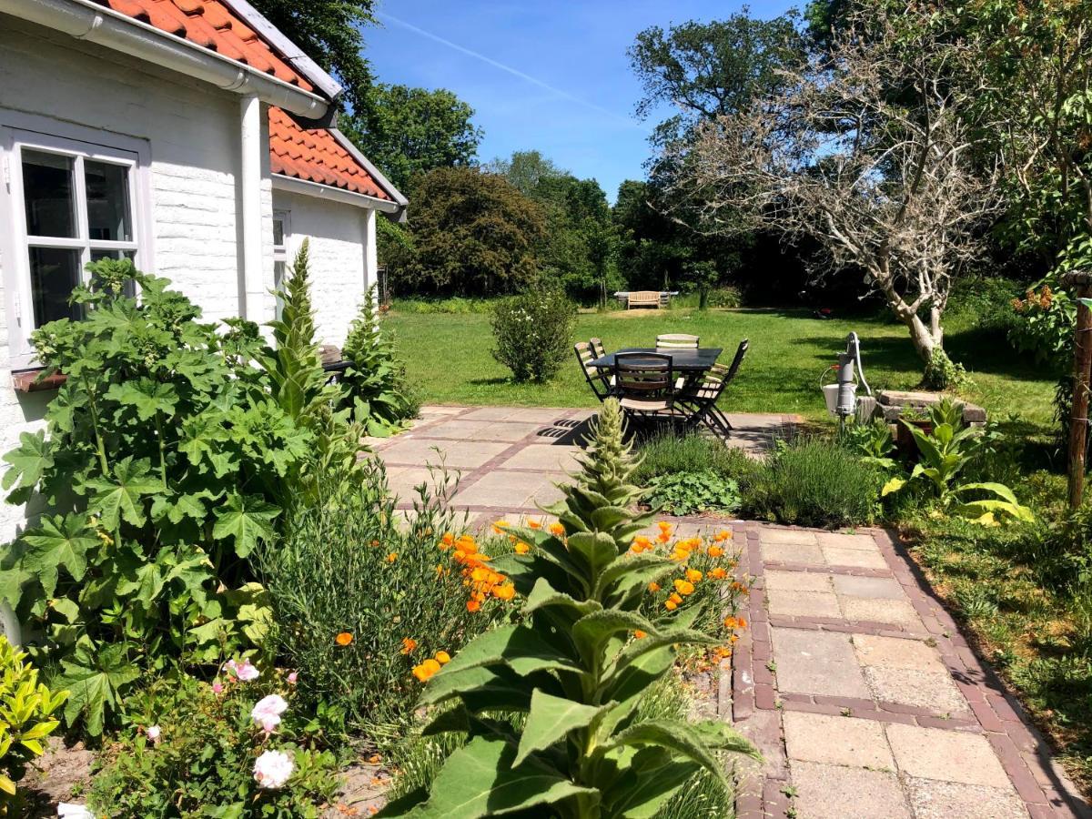 Cottage Duinroos - Dune Rose Oostvoorne Exterior foto
