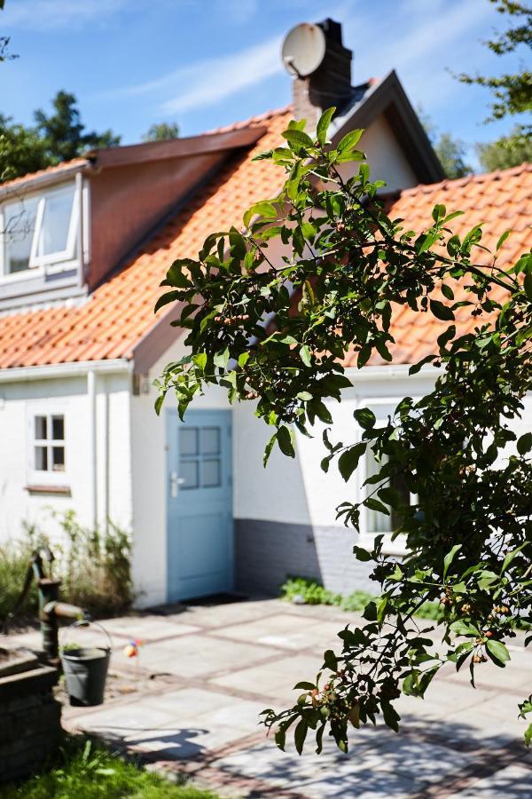 Cottage Duinroos - Dune Rose Oostvoorne Exterior foto